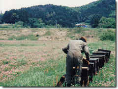 耕野のはちみつ